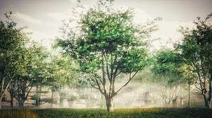 The Secrets to Creating Realistic Trees