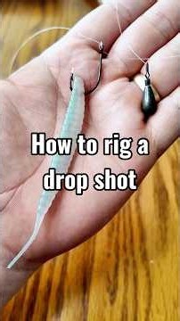 How to rig a drop shot 🎣 This is one of the best lures for catch stubborn bass! #fiahingtips