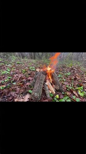 YAĞMURLU HAVADA ATEŞ YAKIP,KAMP YAPALIM DEDİK, KURT GELDİ #campping #keşfet #keşfetbeniöneçıkar