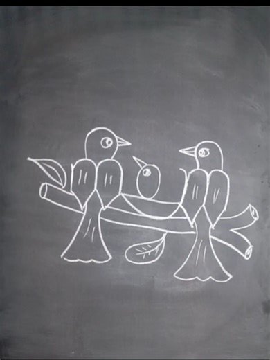 Learn to Draw Beautiful Birds Step by Step