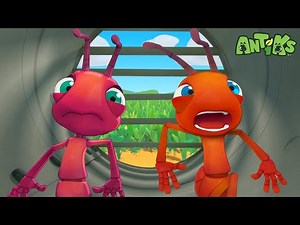 Ventilando! | 1 HORA DE ANTIKS BRASIL | Desenhos Animados Engraçados para Crianças