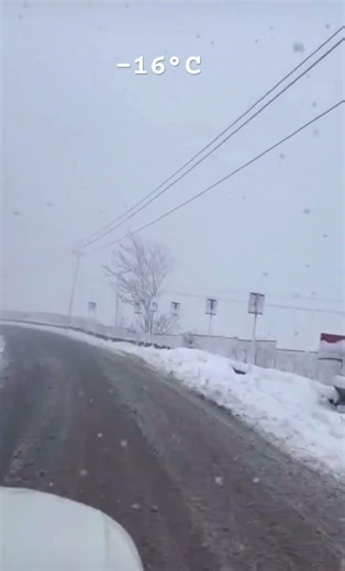 Beautiful Snowfall Scene ❄️ Winter Snow View | Peaceful Snow Weather