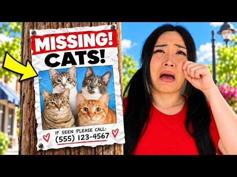 A CRAZY Cat Sitter Stole MY Kittens!! (HELP!!)