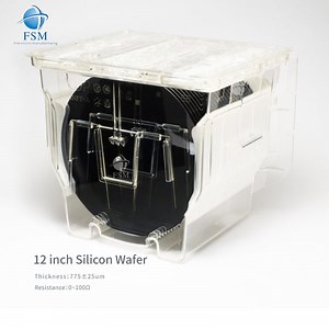 [Hot Item] Silicon Single Crystal 12-Inch Si Monocrystalline Silicon Wafer