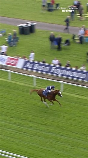 When 𝗘𝗖𝗢𝗡𝗢𝗠𝗜𝗖𝗦 burst onto the scene at York in the G2 Dante Stakes... 💥💰 #DanteFestival | World Horse Racing