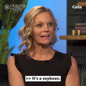 Robyn O’Brien dives into dealing with food allergens, GMOs, and highlights the unhealthy truth surrounding the food industry. Knowledge is power when it comes to what we are consuming. Learn more: https://cs-link.gaia.com/3oUgs77 | Gaia