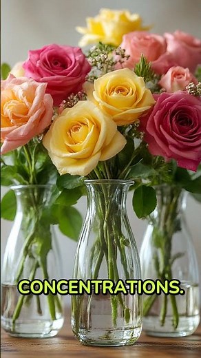 The Sugar Water Trick That Doubles Flower Life