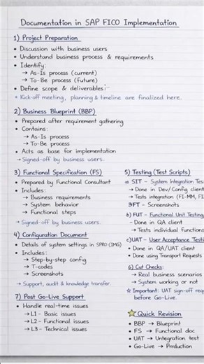 SAP Implementation Documentation Explained in 30 Seconds! 🔥