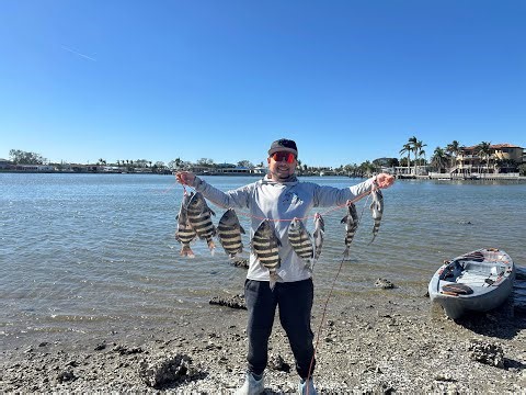 SHEEPSHEAD Fishing Using 4ft. ROD Catching Limit {INSANE/DANGEROUS} EP.84
