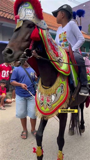 Naik kuda renggong sambil liat cewe cantik lewat #shorts #kuda