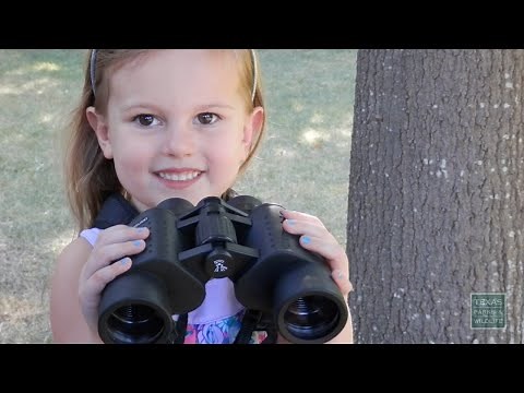 Birding With Children - Tips From a Wildlife Biologist