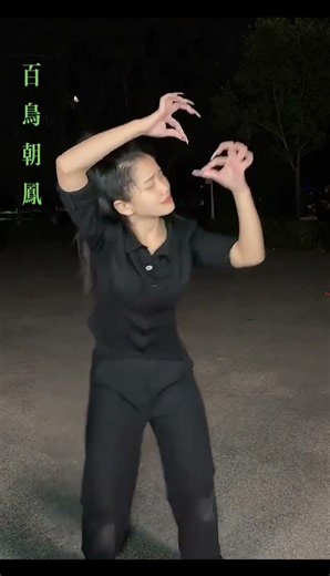 Fengbao's Finger Dance to “Hundred Birds Worshipping the Phoenix” Traditional Chinese Music Cover