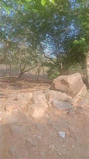 25/02/2026 kasduriman kutt song from Nedungundram village Chengalpattu dis tamilnadu