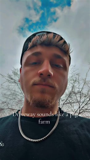 Why Your Driveway Sounds Like a Pig Farm