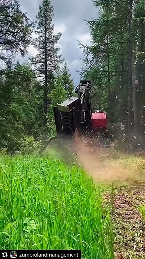 TimberPro Inc on Reels