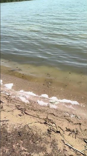 🎙️ Recording Shore Waves · Zoom H5 on Sandy Beach · Field Recording