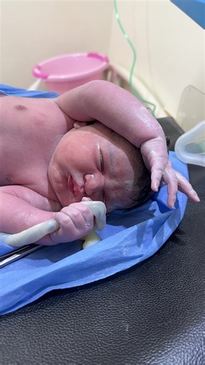 ‏baby first moments of life | em bé mới sinh