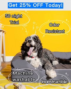 114K views · 264 reactions | Get 25% Off The Most Comfortable Bed For Your Furry One! 識 Machine-washable  Indestructible chewy proof construction  Combats Accidents 裂 Odor Resistant  50 Night Risk-Free Trial Give Your Dog A Comfortable Place To Rest Their Paws  | Nectar Sleep | Facebook