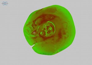 14K views · 168 reactions | The CT Scanner is able to create highly detailed 3D images like this one of the Maravedis coin found in the swamp in Season 1. #oakisland | Oak Island Legend | Facebook