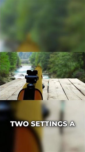 Daisy Model 25: Adjustable Sights for Precision!