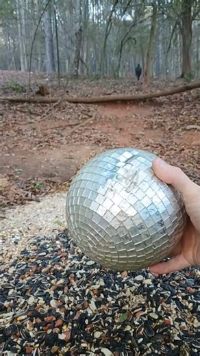 Predator prevention for your squirrels