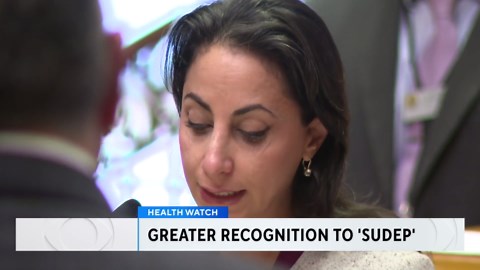 State of Colorado marks "Purple Day" as bill targets epilepsy‑related death reporting