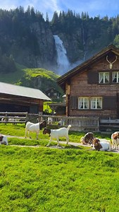 Beautiful Switzerland 🇨🇭 | Ferdinand Wagner