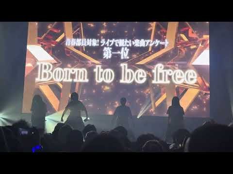 新しい学校のリーダーズ Born to be free!! 4K フル 6/18 新しい学校の青春部ツアー2026