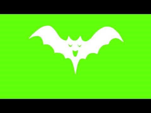 Flying Bats Animation - Green Screen Halloween Element