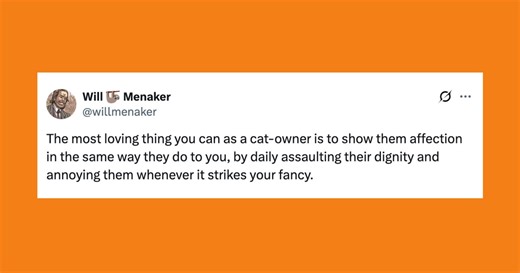 22 Of The Funniest Posts About Cats And Dogs This Week (Oct. 11-17)