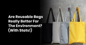 Are Reusable Bags Really Better for the Environment? » NatureCode