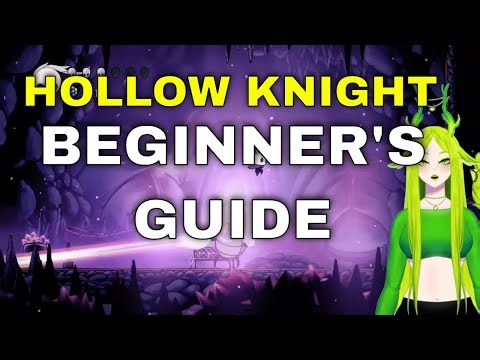 A Beginner’s Guide to Hollow Knight