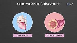Video: Adrenergic Agonists: Direct-Acting Agents