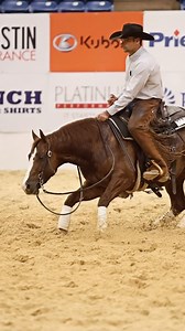 226. TWO TWENTY SIX. To take the lead for @kp.cuttinghorses and LBR Hangem in the 5/6 Year Old Open at the 2025 @nchacutting Super Stakes 🤯😮‍💨 #theverybest #soloselecthorses #stallion #cuttinghorse #getlow #LBRHangem #ncha #superstakes | Solo Select Horses
