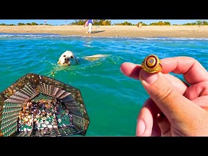 INSANE Finds While Metal Detecting at the Beach!!!