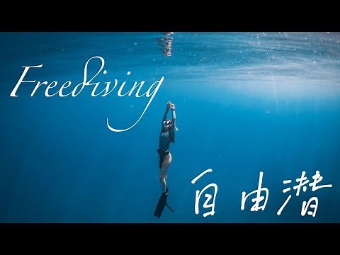 【Freediving入门必看】自由潜从零基础到助教 如果四分钟不能够呼吸