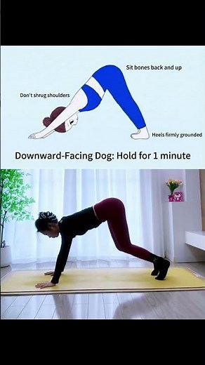 Fix Your Posture & Strengthen Your Core | Sphinx, Plank, Cat Stretch & Downward Dog Routine