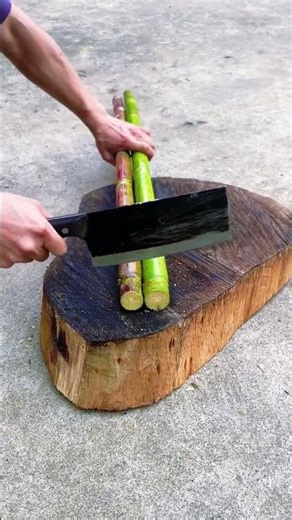 Unveil the Beauty: Spring's Hidden Gems