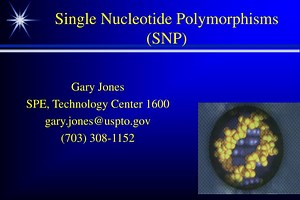 Single Nucleotide Polymorphisms (SNP) - SlideServe