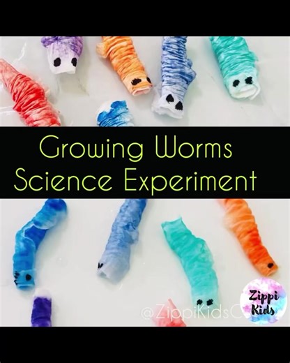 A great science lesson on worms for spring 🪱🐛🌷🪱... All you need is kitchen paper towel, markers, straw, droppler and go! 🫶 | Zippi Kids Corner