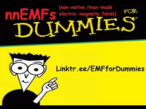 Satic Shield Power Perfect Box