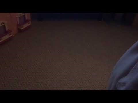 Go Diego Go Everyday I’m getting bigger and stronger