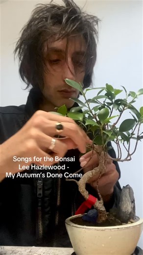 Songs for the Bonsai aka the industry plant 🌿 Lee Hazlewood - My Autumn’s Done Come | The Horrors