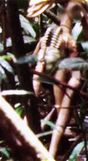 mutant lab made creature caught on film during hike on japanese rainforest #tokyo #japan #mutant #rainforest #cryptid