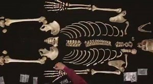 Performing hands-on work, with exceptional faculty and the opportunity to collaborate with students from many other disciplines, makes Texas State’s forensic anthropology program one of the best in the nation. | Texas State University