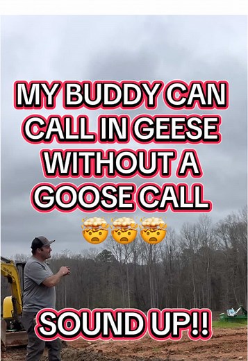 Expert Goose Calling Techniques Without a Call