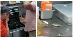 Fried rat, hold the cheese? Video shows mouse jump into Whataburger fryer