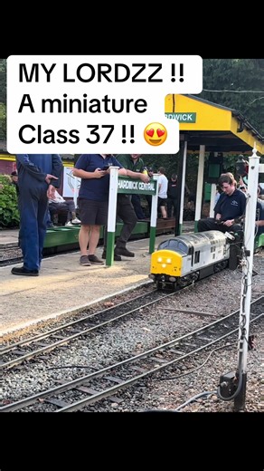 Exploring the Miniature Class 37 Locomotive