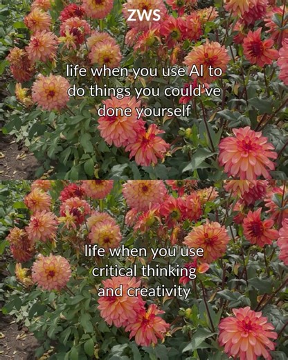 Zerowastestore.com on Reels