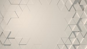 Logo Background White Triangles